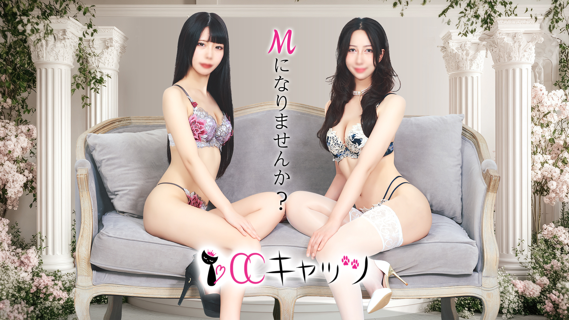 CCキャッツ